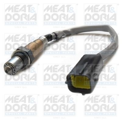 Oxygen Sensor